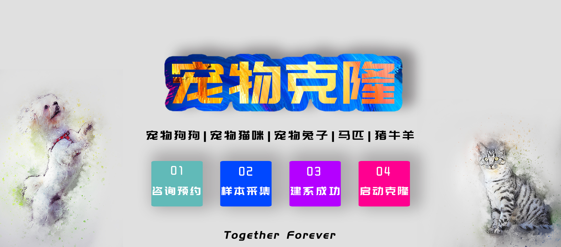 首页banner